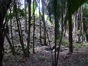 small_LDFSruins1-gibbs