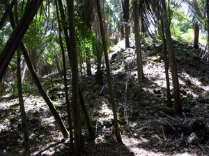 small_LDFSruins2-gibbs
