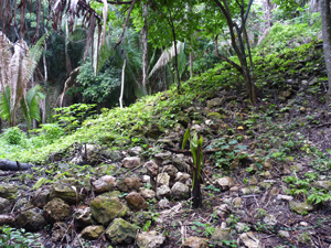 small_LDFSruins3-gibbs