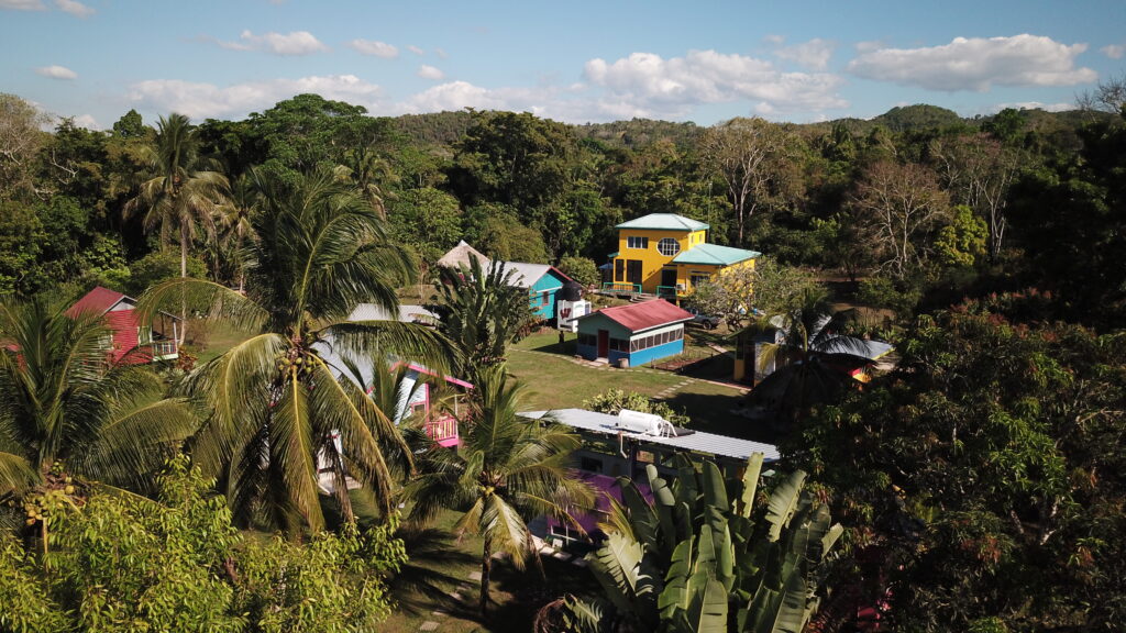 Discover the Untamed Beauty of Lower Dover: Why Staying in the Jungle Trumps San Ignacio